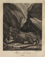 KG 01074
          <br/>
          Entwurf einiger Thiere. Zweyter Theil. (20 bladen)
          <br/>
          <em>Ridinger, Johann Elias (1698-1767)</em>